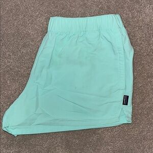 Patagonia Mint Green Shorts